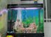 Fish tank