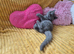 From pedigree parents, BSH kittens