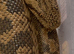 RUSSIAN SAND BOA - pair M&F