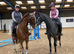 Stunning 15.2hh Hackney gelding, 10 years old, seeking his next loving home.