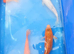 22 cm koi