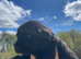 KC Registered Lab Pups