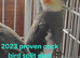 Cockatiels