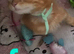 2 beautiful ginger boy's