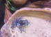 2 juvenile milk frogs