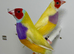 Beautiful pair of yellow Gouldian finches