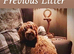 TRUE MINI F4B GOLDENDOODLES