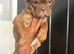 ENGLISH BULLDOG PUPPIES!