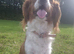 6 Cavalier King Charles Spaniel puppies