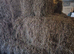 2025 meadow small hay bales