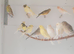 Canaries