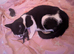 Mummy cat just given birth