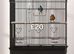 Bird cages for sale