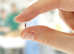 Mobile Pet Microchipping - Devon & Cornwall