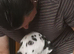 Stunning Dalmatian Girl reluctant Sale