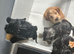 Beautiful Cockapoo Puppies Looking for Loving Homes