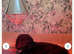 Australian labradoodles - Ready Now