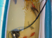 Koi plus carp