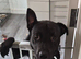 Our Boy Blue!