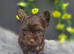 Yorkshire terrier puppies