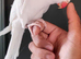 Beautiful Albino supertame ringneck talking parrot