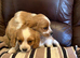 2 Handsome Boys