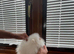 Amazing pure white KC puppies looking for lovely