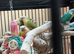 Split for lutino Conures mutations
