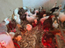 Rhode Island Red & light Sussex chickens