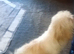 1 year old boy