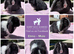 Baby Mini Lop Bunnies - Take home today!
