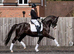 Exceptional TOTILLAH/dreamboy dressage filly available