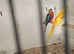 Turquoisine grass parakeets