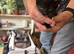 Kittens for home