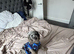 Two pups