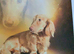 Stunning long haired dachshund puppy black and cream Only 1 left !