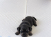 Amazing colours miniature dachshund puppies