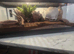 Female red knee tarantula
