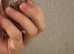 4 baby Hahns macaw hand reared