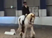 Pippi, 13.2 4yr old skewbald mare
