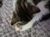 Looking to rehome