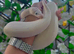 blue eyed lecustic royal python