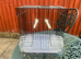 Canary sing cage