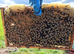 Spring 2026 National Nucs, bee nucs.