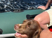 Speingador puppies