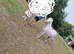 Mini shetland pony