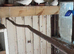 Young doves