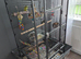 2 budgies for sale and cage