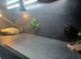 Vivarium LARGE with electrics