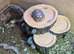 Baby reports torts